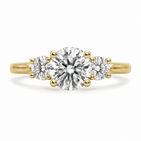 The Round Brilliant — Diamond Engagement Ring - Image 3