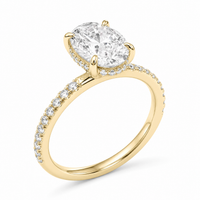 The Mystique — Oval Hidden Halo Ring with Pavé Band - Image 1