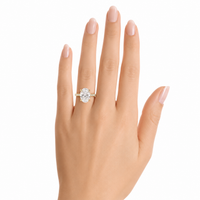 The Mystique — Oval Hidden Halo Ring with Pavé Band - Image 2