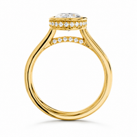 The Veiled — Oval Hidden Halo Pavé Gallery Ring - Image 4